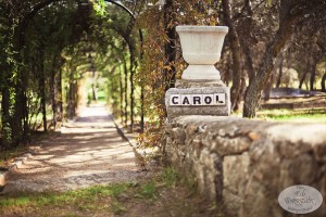 Camino Carol