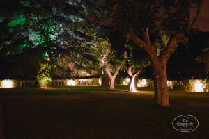 Iluminación Cedro jardines Madrid