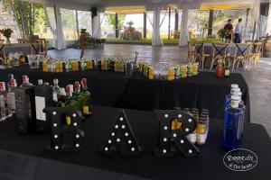 TdDJ-bodas-n012-IMG 1568-gal