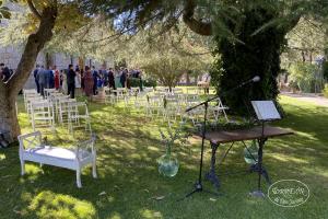 Ceremonia bajo el cedro Este