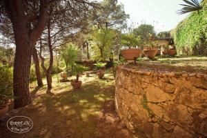 Jardines piscina