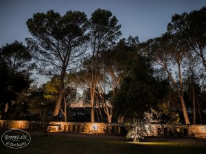 Iluminación jardines